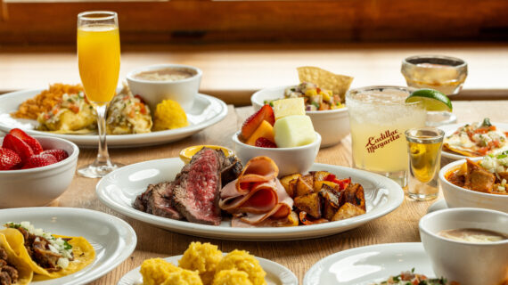 NEW MENU LAUNCH